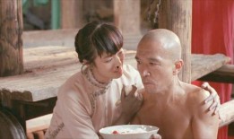 免费菊豆电影在线观看,畅享经典影视盛宴