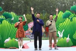 深圳小萍最近爆料事件视频,揭秘背后惊人真相