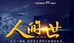 人间世纪录片在线观看,穿越历史长河的视觉史诗