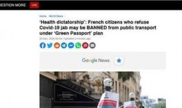 法国病毒爆料视频大全,真相与谣言的交织